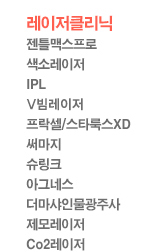 [������Ŭ����]���̴�,���� ������,IPL,������/������ũ,CO2������,��������