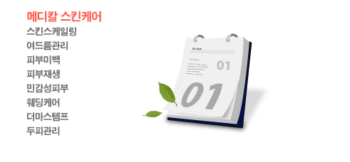 [�޵�Į ��Ų�ɾ�]��Ų�����ϸ�,���帧����,�Ǻι̹�,�Ǻ����,�ΰ����Ǻ�,�����ɾ�,����������,���ǰ���