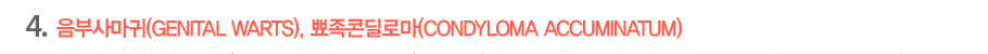 4.���λ縶��(Genital Warts), �����ܵ��θ�(Condyloma Accuminatum)