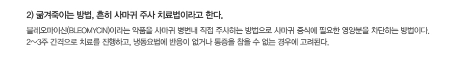 (2) �������̴� ���, ���� �縶�� �ֻ� ġ����̶�� �Ѵ�.-���������̽�(bleomycin)�̶�� ��ǰ�� �縶�� ������ ���� �ֻ��ϴ� ������� �縶�� ���Ŀ� �ʿ��� ������� �����ϴ� ����̴�. 2~3�� �������� ġ�Ḧ �����ϰ�, �õ������ ������ ���ų� ������ ���� �� ���� ��쿡 �����ȴ�.