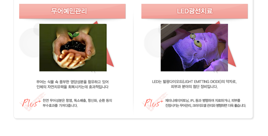 [����ΰ���]����� �Ĺ� �� ǳ���� ���缺���� �����ϰ� �־� ��ü�� �ڿ�ġ������ ȸ����Ű�µ� ȿ�����Դϴ�Plus:õ�� ������� �׿�, ���ҹ���, �׻�ȭ, ��ȯ ���� �μ�ȿ���� �������ݴϴ�.
[LED����ġ��]LED�� �߱����̿���(LIGHT EMITTING DIODE)�� ���ڷ�,�Ǻΰ� �о��� ÷�� ����Դϴ�.Plus:���̴Ϸ��������, IPL ��� �����Ͽ� ġ���ϰų�, �Ǻθ� ������Ű�� �������, ũ���̿��� ������ �����ϸ� ���� �����ϴ�.