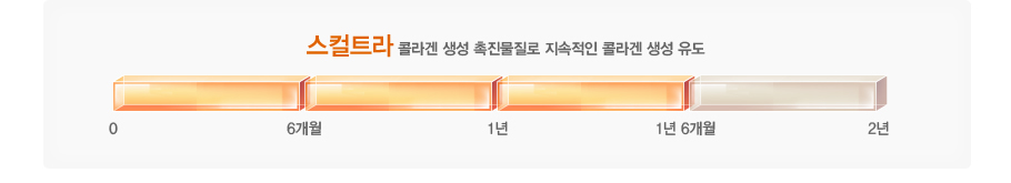 ����Ʈ��-�ݶ�� ���� ���������� �������� �ݶ�� ���� ����(1��6����)